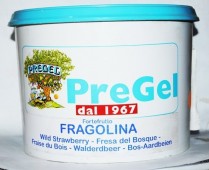 1020-0693 GustoFruta STRAWBERRY 1kg *ART&eacute; GELATO