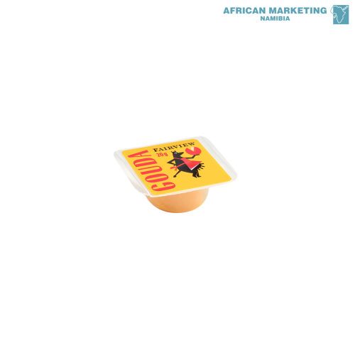 2115-0179 GOUDA MINI PORTIONS 36x20g *FAIRVIEW