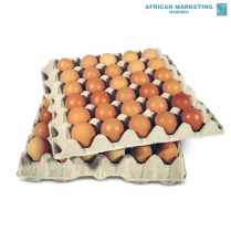 2255-0031 EGGS LARGE 12x30 TRAY *WALDSCHMIDT