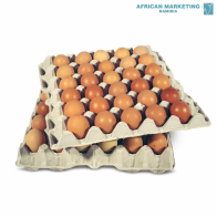 2255-0031 EGGS LARGE 12x30 TRAY *WALDSCHMIDT