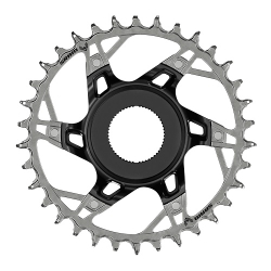 11.6218.061.000 SRAM C/RING 34T DM STEPS XX T-TYPE