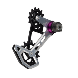 11.7518.104.029 SRAM SP XX DH RD T-TYPE AXS CAGE ASSY KIT