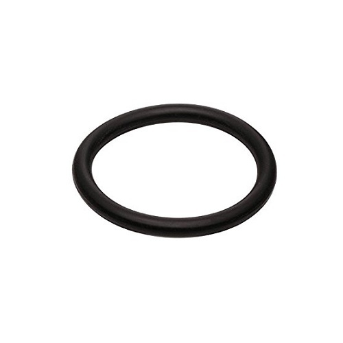 36162999 #1185 PMP-4 PLUNGER O-RING