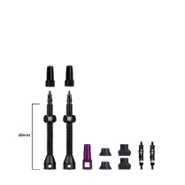 DY-094-D4 8720938041976 DYNAMIC BARKEEPER TUBELESS VALVES 60MM 1SET