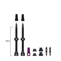 DY-095-D4 8720938041983 DYNAMIC BARKEEPER TUBELESS VALVES 80MM 1SET