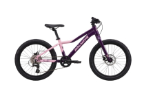 FLA0-GZZKP-BYA6 AVALANCHE FLASH 20" GIRLS PINK