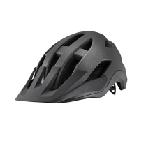  GIANT HELMET ROOST MIPS