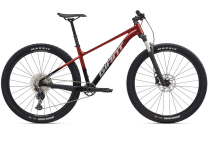  TALON 29ER 0 2025