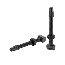  GIANT LIGHT WEIGHT TUBELESS VALVES