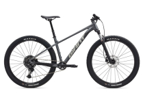  TALON 29ER 1 2026