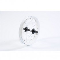 WH-BEN-AB AVALANCHE WHEEL FRONT 12" TRAINER