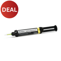 MULTILINK HYBRID ABUTMENT HO 0