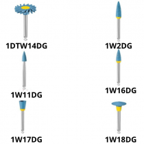 EVE DIAPOL POLISHER COURSE