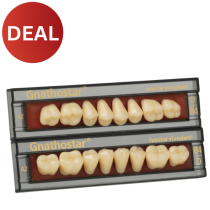 GNATHOSTAR A-D POSTERIOR TEETH