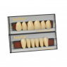 IVOSTAR A-D ANTERIOR TEETH