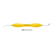 LM ARTE SOLO ANTERIOR