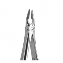 TOOTH FORCEPS BLADE BEAKS N.34-N