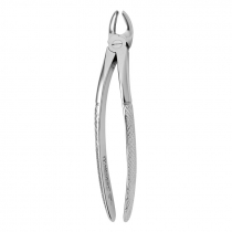 TOOTH FORCEPS N.19