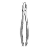 TOOTH FORCEPS N.2