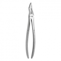 TOOTH FORCEPS N.51-A
