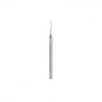 HYGIENIST SCALER H5