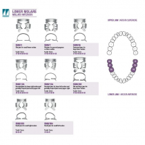 RUBBER DAM CLAMP LOWER MOLARS