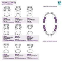 RUBBER DAM CLAMP MOLARS (GENERAL)