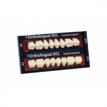 SR ORTHOLINGUAL DCL POSTERIOR