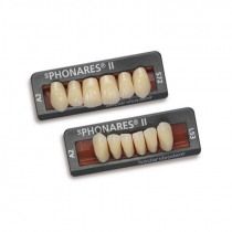 SR PHONARES II ANTERIOR