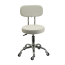 ELITE Stool - with Back   (Chrome & White)