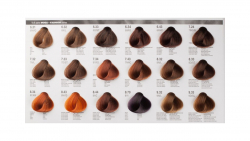 ***Dikson Colour Extra Chart - 2022