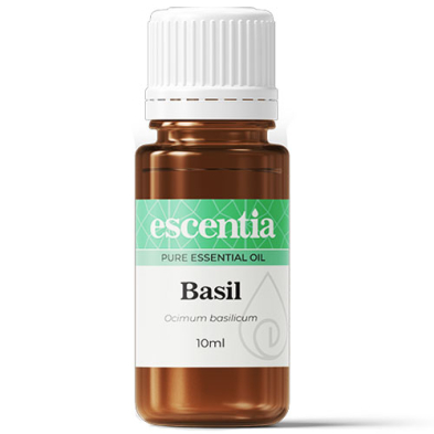 Essential Oil Basil 11ml