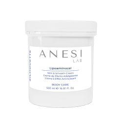 ANESI LAB Silhouette Lipoaminocel Slim & Smooth Cream 500ml