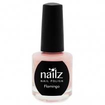 Nailz Nail Polish 15ml  Flamingo