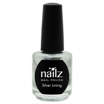 Nailz Nail Polish 15ml  Silver Lining