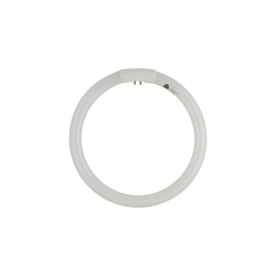 Mag Lamp Circular Globe   22w