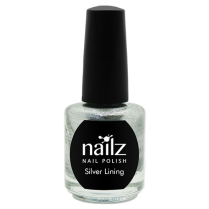 Nailz Nail Polish 15ml  Silver Lining