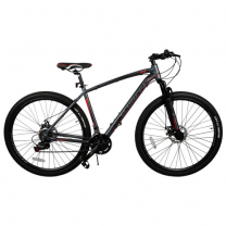 MTB 29 Sport 21-Spd