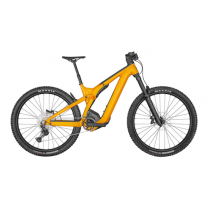 MTB Patron eRide 920 INT (TW)
