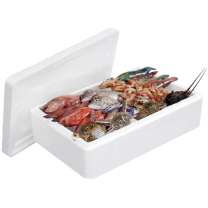Fish Box Foam Large 80x40x18cm