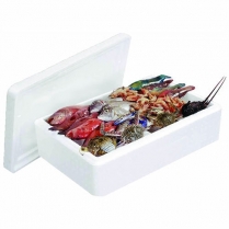 Fish Box Foam Small 40x30x13cm