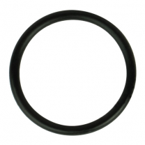 Sensor O-Ring