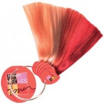 ***Dikson Meches Toner Swatch Ring