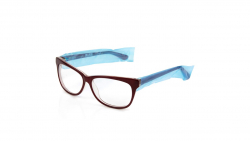 Eye Glasses Protective Sleeves - Box of 200 (HS48239)