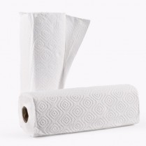 Twinsaver Paper Roller Towel - pkt of 2