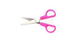 Multi-purpose Scissor - Small