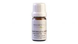 Essential Oil Camomile (Roman)11ml