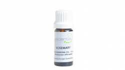 Essential Oil Rosemary 11ml