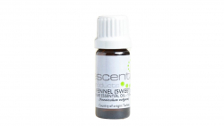 Essential Oil Fennel 11ml