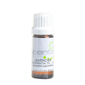 Salon Fresh Essential Oil Lavender 11ml